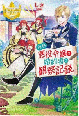 憧憬成为魔法少女剧情深度解析